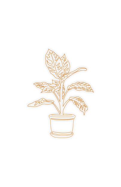 Logo NG Conciergerie Pays d'Aix